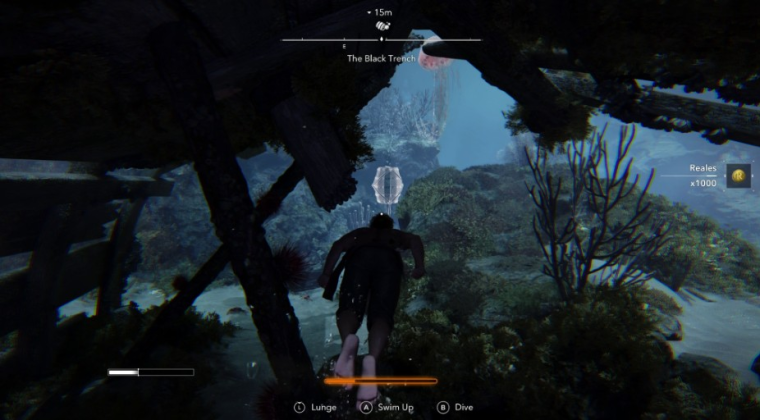 Богатство в Карибском море: Лучшие способы заработка реалов в Assassin's Creed Black Flag Resynced